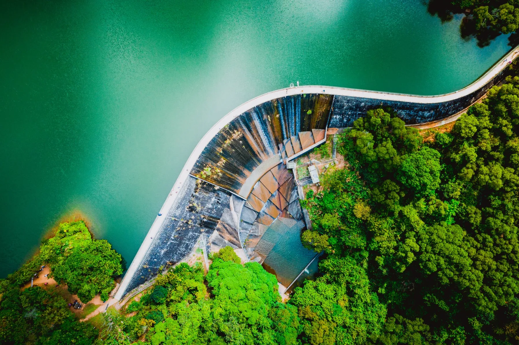 Aerial view of a road crossing green landscape